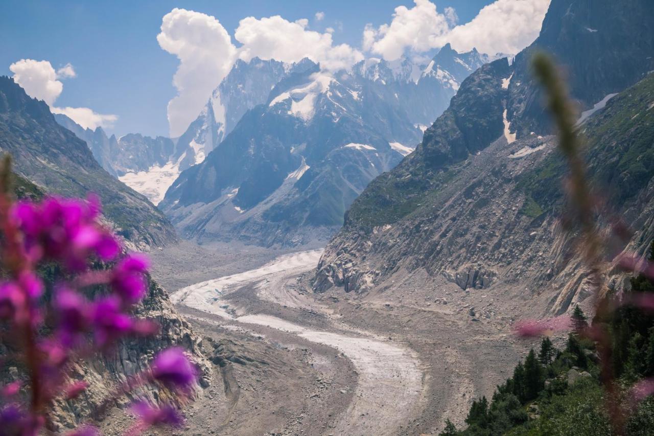 Les Chalets Des Aiguilles شامونكس المظهر الخارجي الصورة