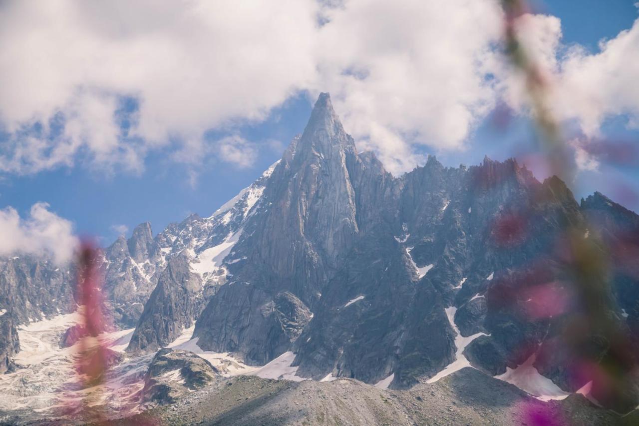 Les Chalets Des Aiguilles شامونكس المظهر الخارجي الصورة